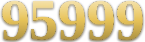 95999 logo